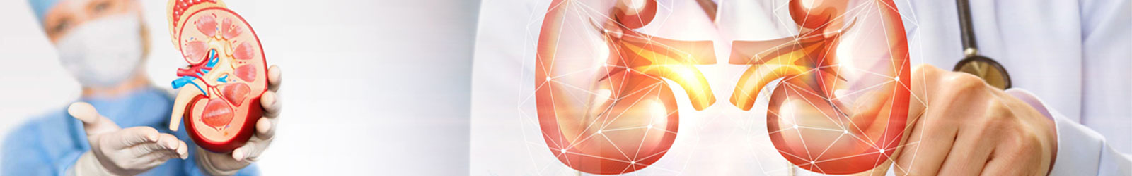 Kidney Stone Laser Treatment In Chennai Kidney Stone Pain Tamil Nadu